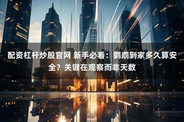 配资杠杆炒股官网 新手必看：鹦鹉到家多久算安全？关键在观察而非天数