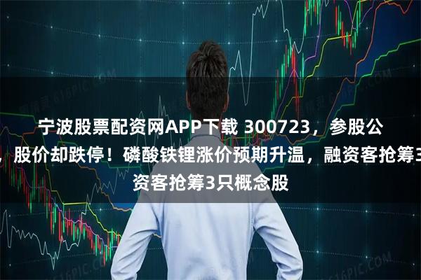 宁波股票配资网APP下载 300723，参股公司被收购，股价却跌停！磷酸铁锂涨价预期升温，融资客抢筹3只概念股